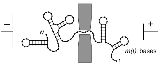 nanopores