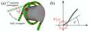 Kinetic Accessibility of Buried DNA Sites in Nucleosomes