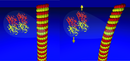 Thermal fluctuations of grafted microtubules provide evidence of a length-dependent persistence length