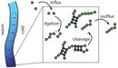 RNA reactor