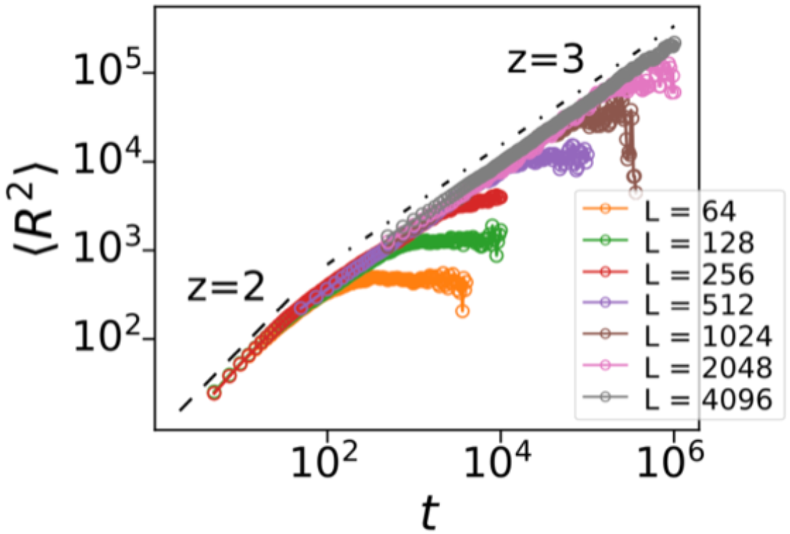 subdiffusive_activity_spreading_cut