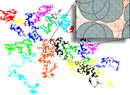 A Paradigm for Anomalous Transport in Disordered Media