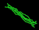 Statistical Mechanics of Semiflexible Bundles of Wormlike Polymer Chains: The wormlike bundle model