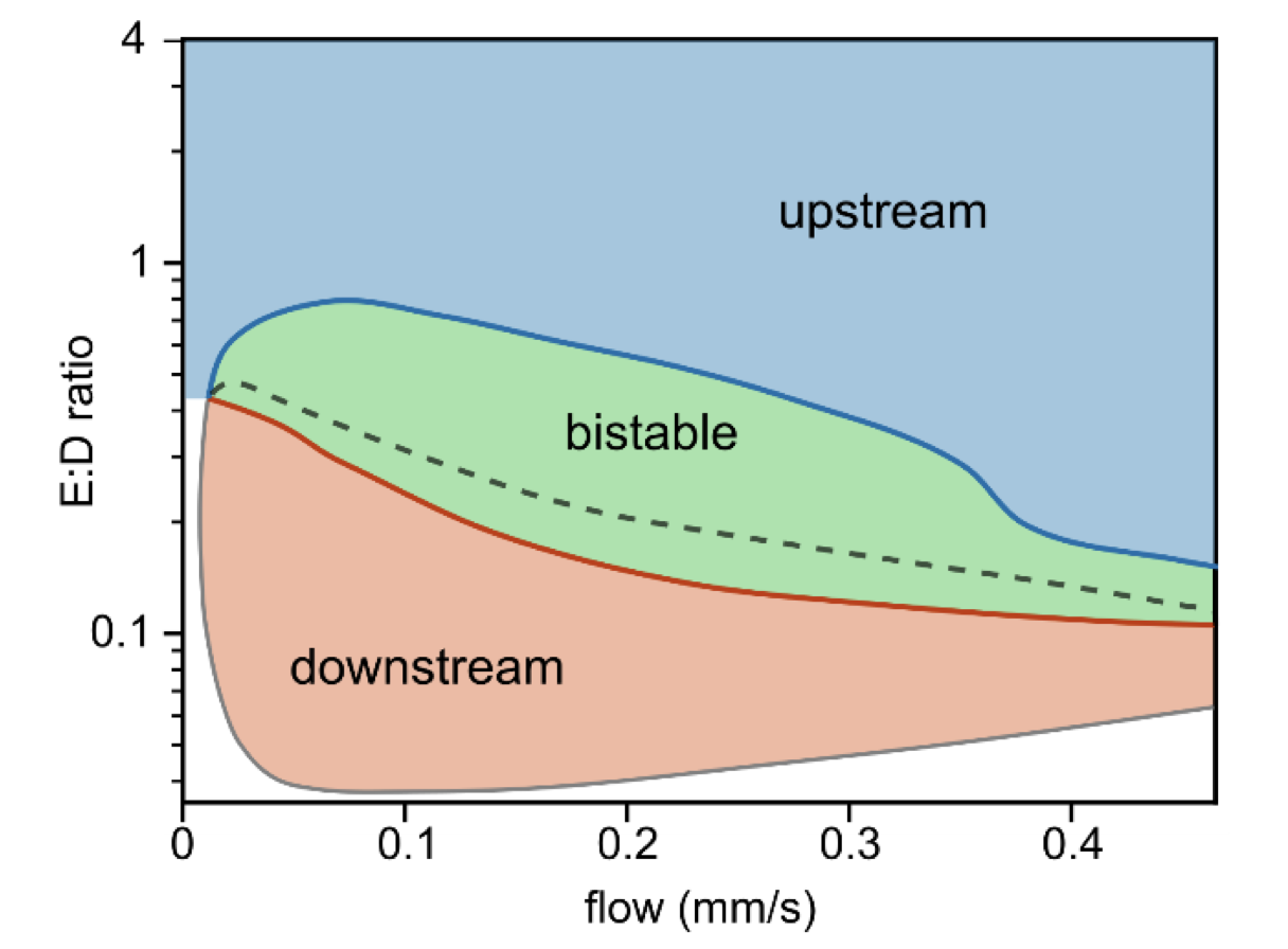 Directing Min protein patterns with advective bulk flow 