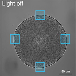 20250411_light_control_shape_off