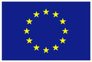 eu_flag_low